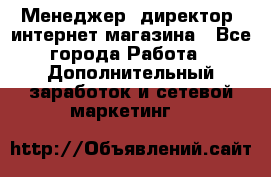 Менеджер (директор) интернет-магазина - Все города Работа » Дополнительный заработок и сетевой маркетинг   
